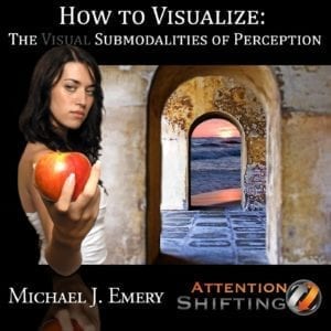 How-to-Visualize-Visual-Submodalities